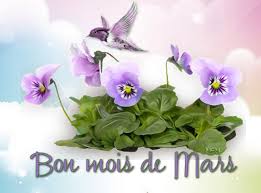 Un nouveau mois s'installe: le mois de MARS, le mois de la FEMME. Nous  souhaitons à toutes et à tous un excellent nouveau mois et à toutes les  femmes bon mois de
