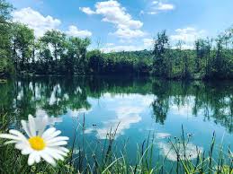 La photo du 2 mars - Courrier picard