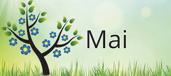 Mai au potager : de nouvelles opportunités et de nouveaux dangers