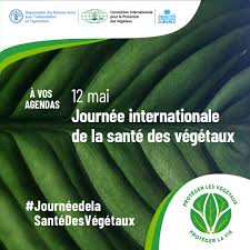📢 #ÀvosAgendas | 2023 Journée internationale de la santé des végétaux  Rejoignez-nous en cette #JournéedelaSantéDesVégétaux pour discuter de la  santé des plantes pour la protection de l'environnement ! 🗓️ 12 mai 2023
