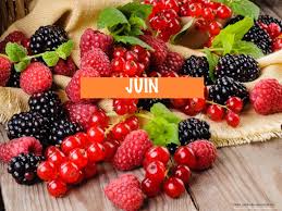 Les produits de JUIN - Jardin des gourmands